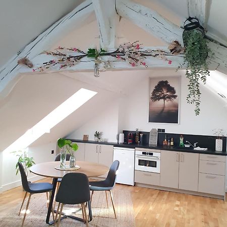 Quietude Au Bord De Loire. Apartment ออร์เลออง ภายนอก รูปภาพ