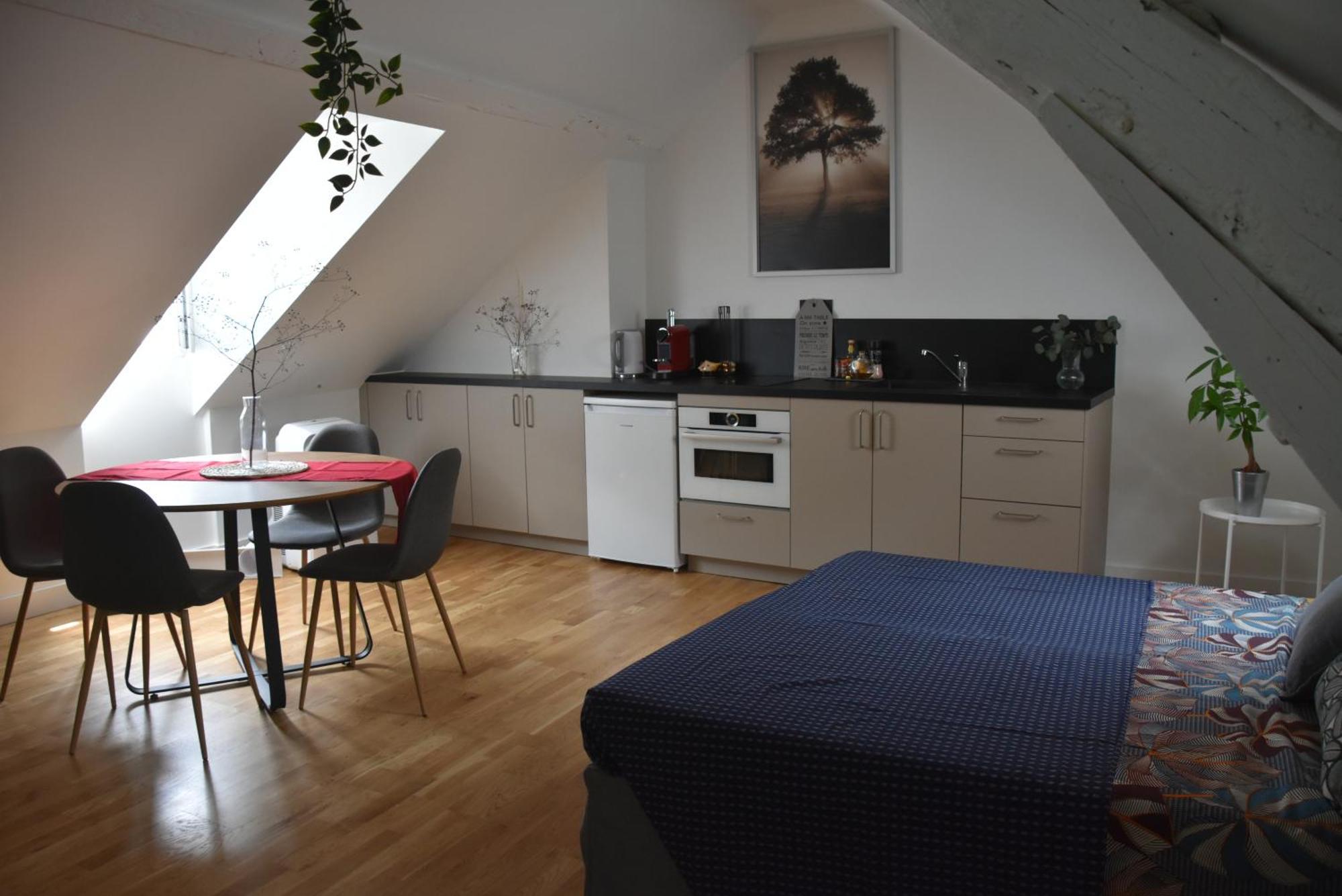 Quietude Au Bord De Loire. Apartment ออร์เลออง ภายนอก รูปภาพ