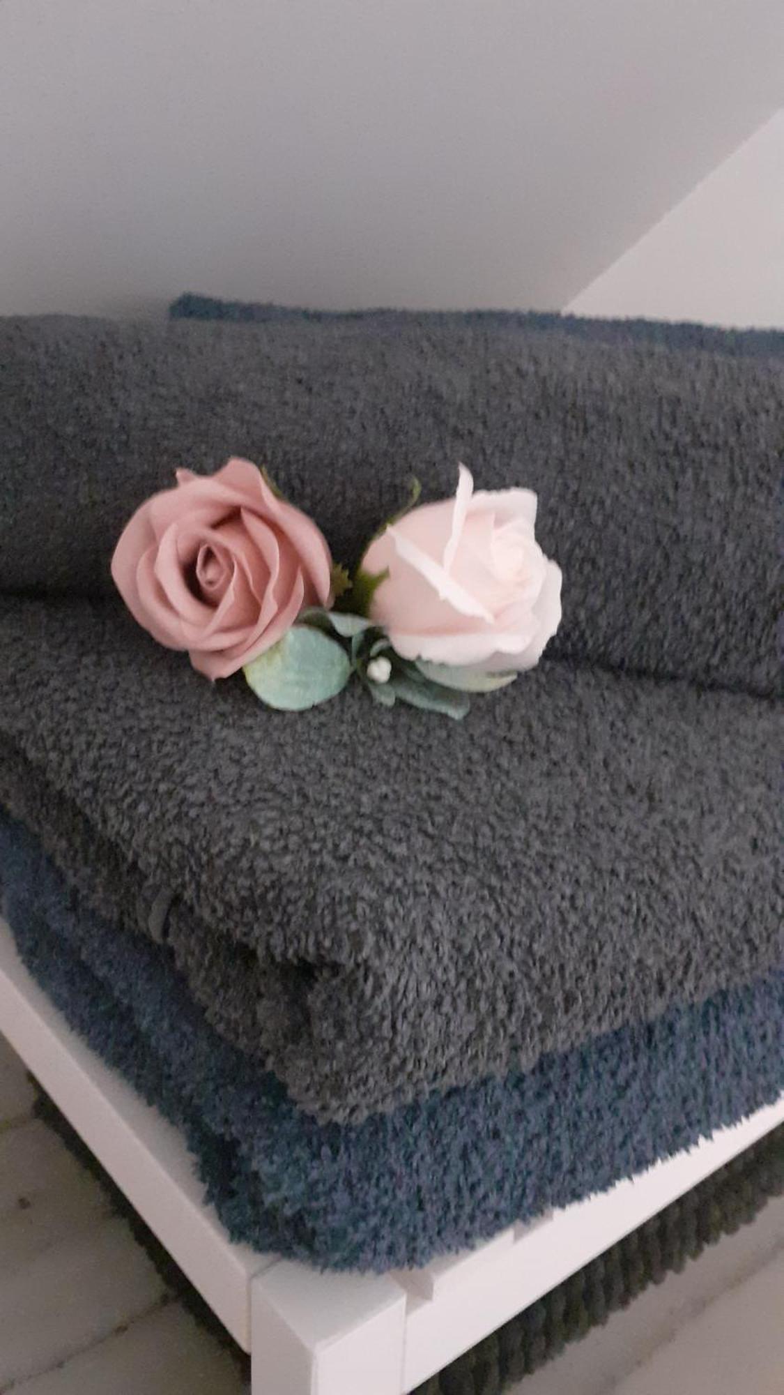 Quietude Au Bord De Loire. Apartment ออร์เลออง ภายนอก รูปภาพ