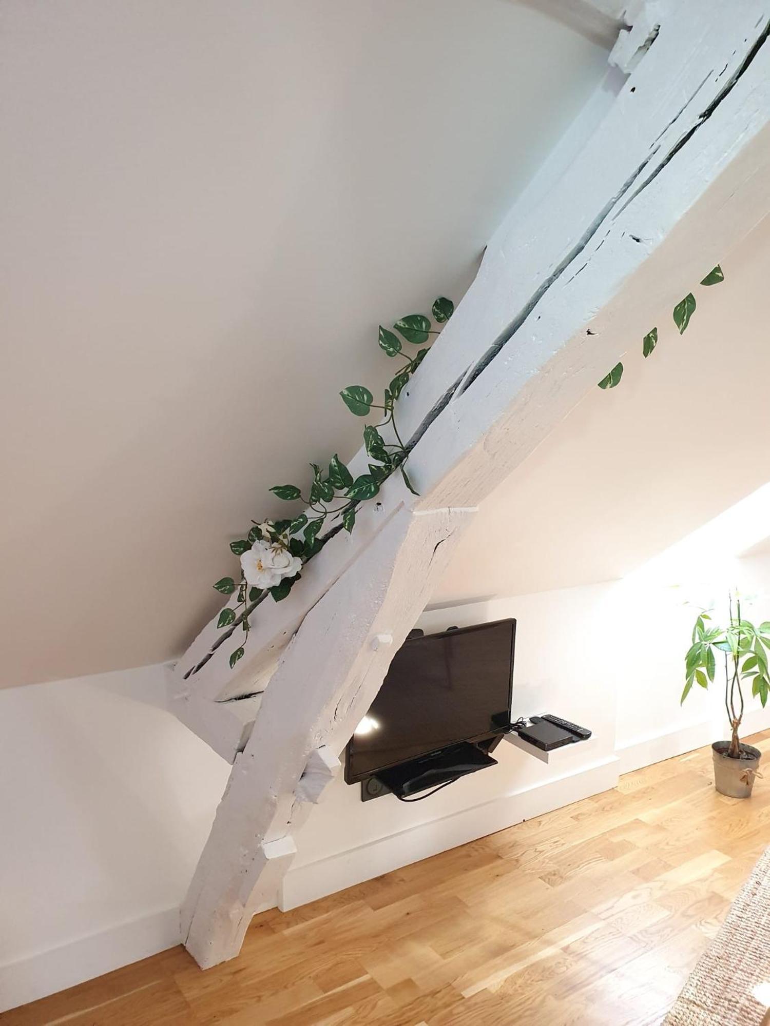 Quietude Au Bord De Loire. Apartment ออร์เลออง ภายนอก รูปภาพ