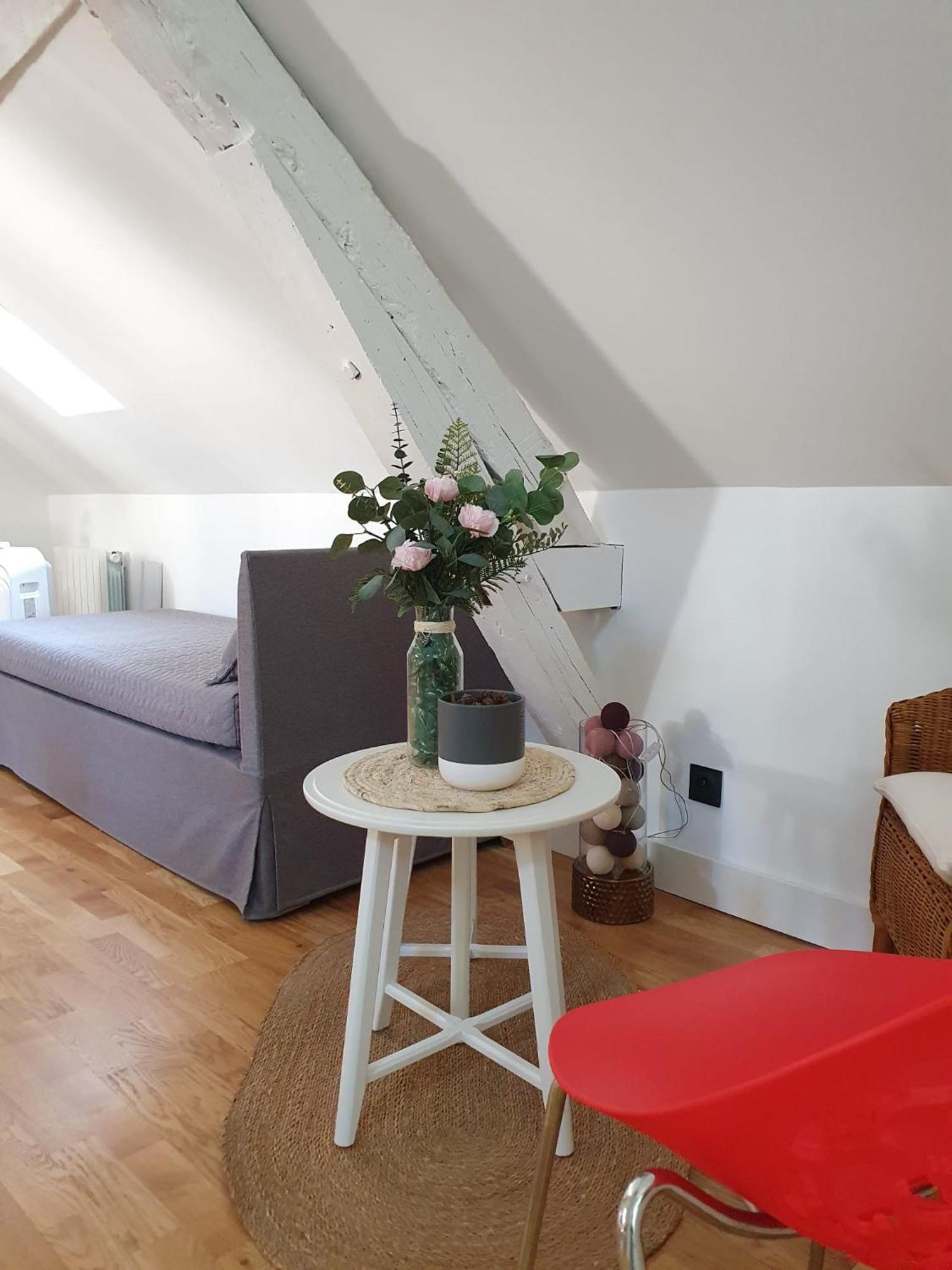 Quietude Au Bord De Loire. Apartment ออร์เลออง ภายนอก รูปภาพ