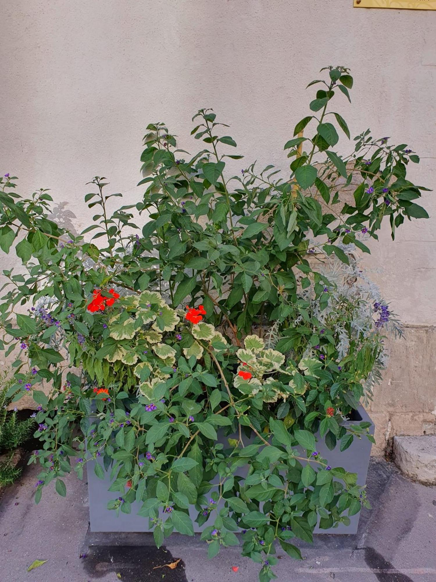 Quietude Au Bord De Loire. Apartment ออร์เลออง ภายนอก รูปภาพ