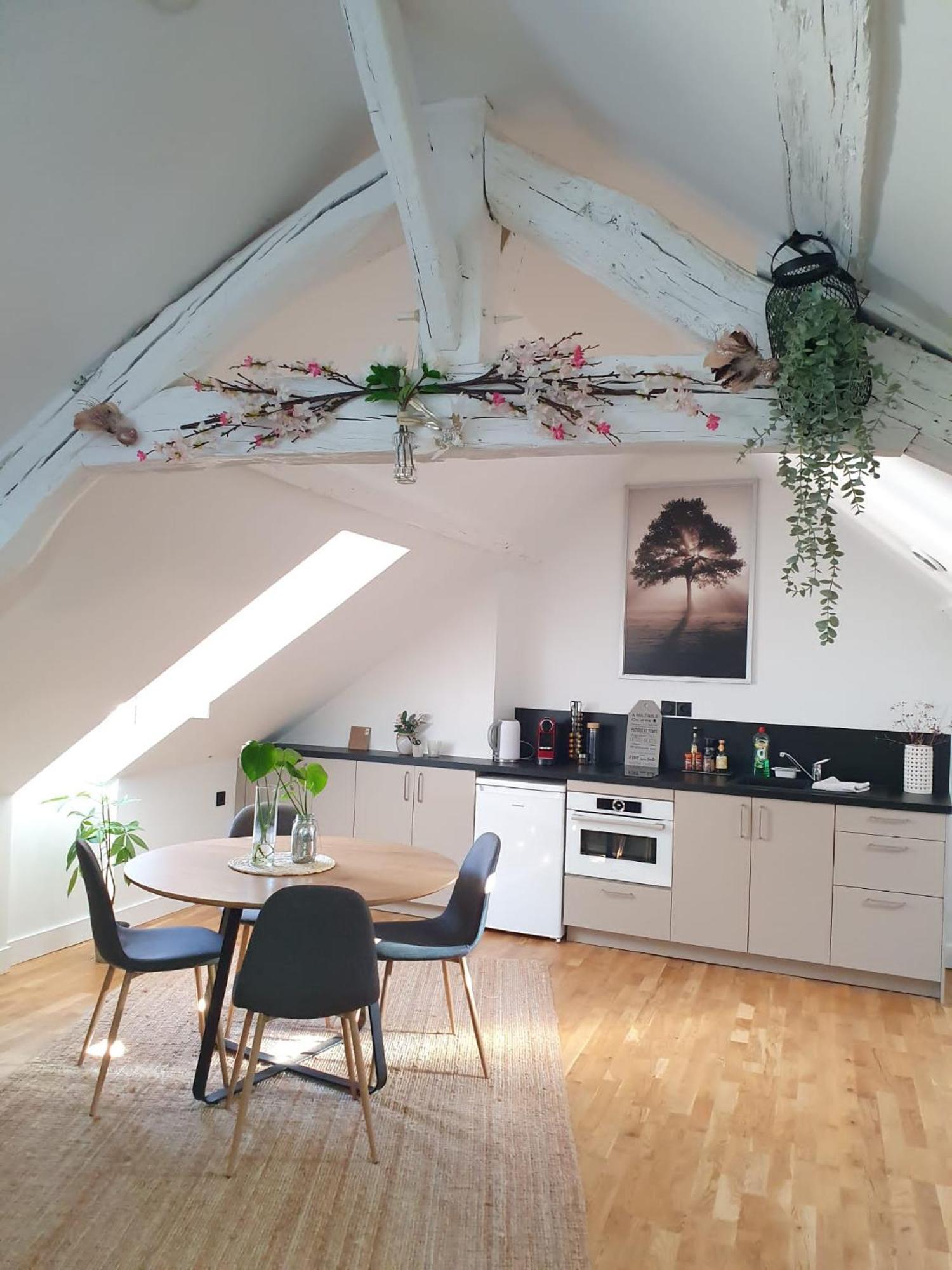 Quietude Au Bord De Loire. Apartment ออร์เลออง ภายนอก รูปภาพ